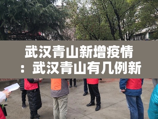 武汉青山新增疫情：武汉青山有几例新冠肺炎