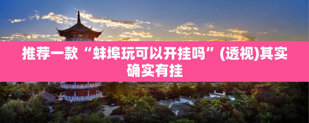 推荐一款“蚌埠玩可以开挂吗”(透视)其实确实有挂