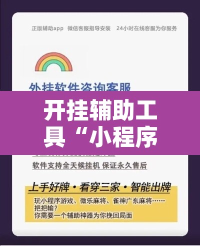 开挂辅助工具“小程序财神十三张辅助	”开挂辅助脚本+详细开挂安装教程