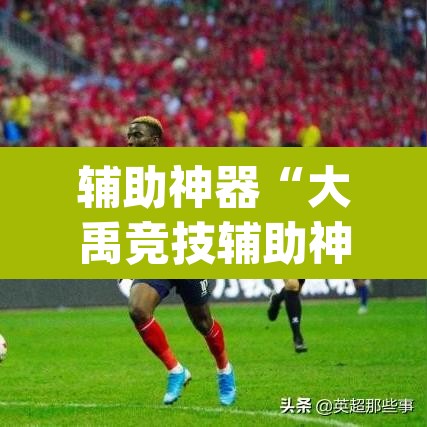 辅助神器“大禹竞技辅助神器”(透视)其实确实有挂