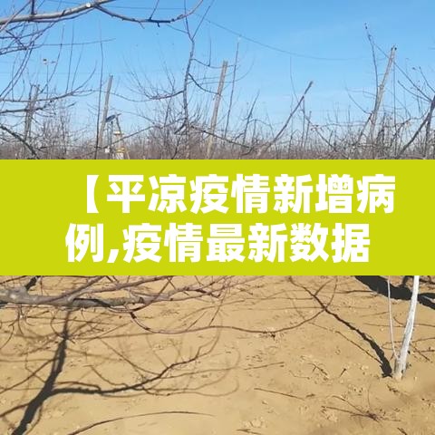 【平凉疫情新增病例,疫情最新数据消息甘肃平凉】 【平凉疫情新增病例,疫情最新数据消息甘肃平凉】