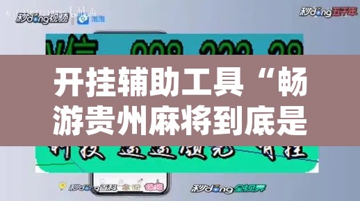 开挂辅助工具“畅游贵州麻将到底是不是挂”(透视挂)辅助透视教程