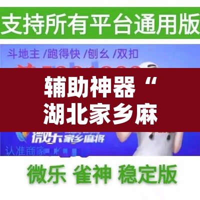 辅助神器“湖北家乡麻将可以开挂吗	”开挂辅助脚本+详细开挂安装教程
