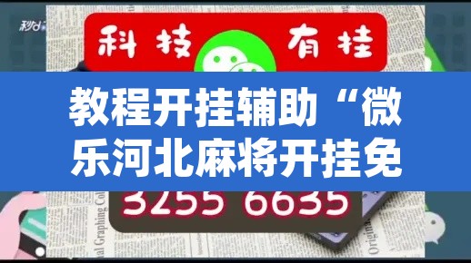 教程开挂辅助“微乐河北麻将开挂免费下载	”(透视挂)辅助透视教程