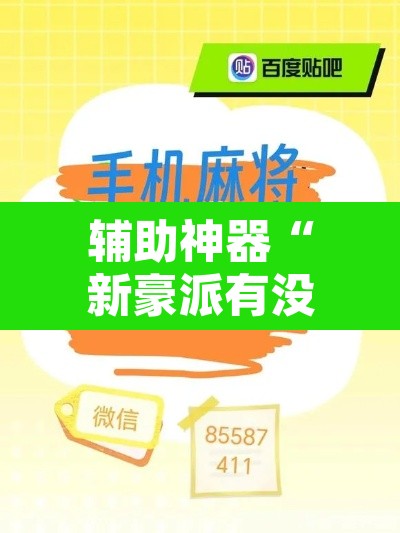 辅助神器“新豪派有没有挂”开挂辅助脚本+详细开挂安装教程