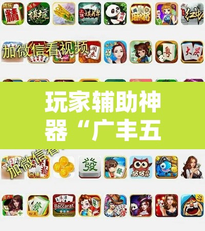 玩家辅助神器“广丰五十k真的确实有挂”(透视)其实确实有挂