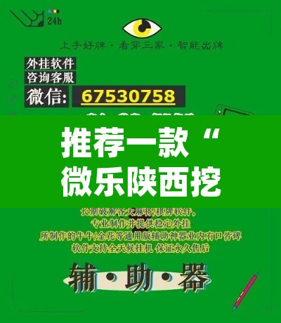 推荐一款“微乐陕西挖坑开挂神器”(透视)其实确实有挂