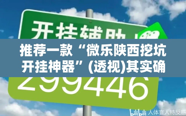 推荐一款“微乐陕西挖坑开挂神器”(透视)其实确实有挂