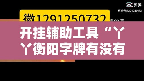 开挂辅助工具“丫丫衡阳字牌有没有挂”(透视挂)辅助透视教程