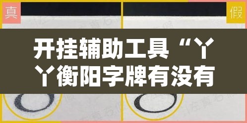 开挂辅助工具“丫丫衡阳字牌有没有挂”(透视挂)辅助透视教程