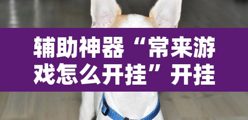 辅助神器“常来游戏怎么开挂”开挂辅助脚本+详细开挂安装教程