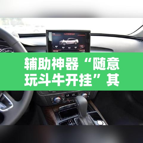辅助神器“随意玩斗牛开挂”其实确实有挂