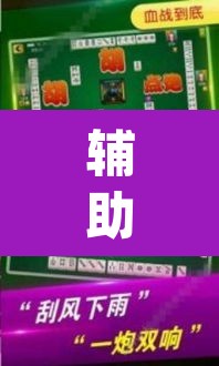 辅助神器“哥哥杭州麻将软件开挂器”(透视挂)辅助透视教程
