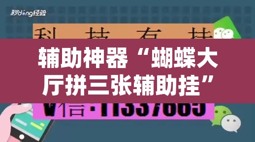 辅助神器“蝴蝶大厅拼三张辅助挂”(透视)其实确实有挂