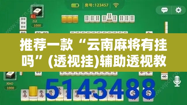 推荐一款“云南麻将有挂吗”(透视挂)辅助透视教程