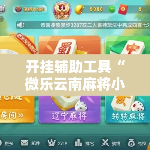 开挂辅助工具“微乐云南麻将小程序开挂免费软件”(透视挂)辅助透视教程