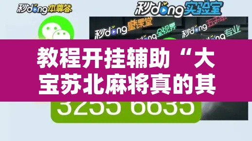 教程开挂辅助“大宝苏北麻将真的其实有挂”其实确实有挂