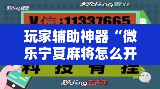 玩家辅助神器“微乐宁夏麻将怎么开挂”(透视)其实确实有挂