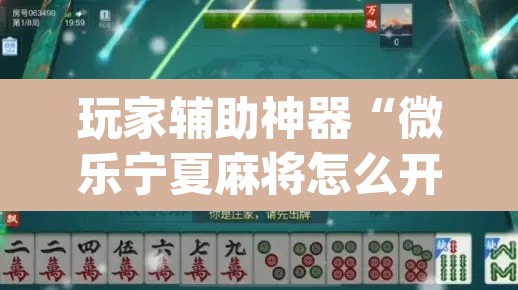 玩家辅助神器“微乐宁夏麻将怎么开挂	”(透视)其实确实有挂