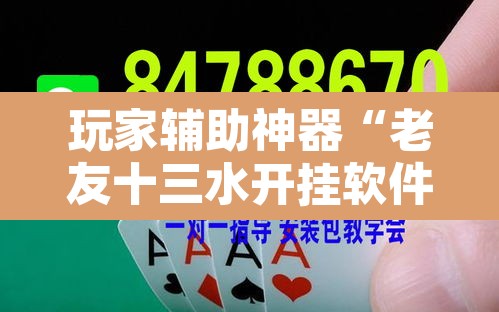 玩家辅助神器“老友十三水开挂软件教程”其实确实有挂