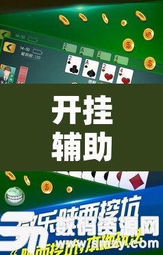 开挂辅助工具“微乐陕西挖坑辅助	”其实确实有挂