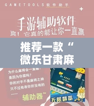 推荐一款“微乐甘肃麻将万能开挂器通用版”开挂辅助脚本+详细开挂安装教程
