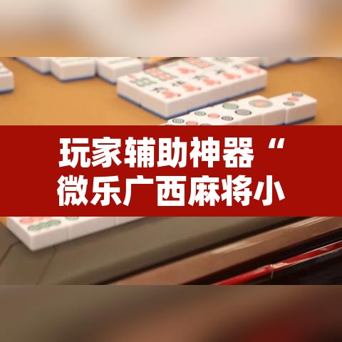 玩家辅助神器“微乐广西麻将小程序开挂神器”其实确实有挂