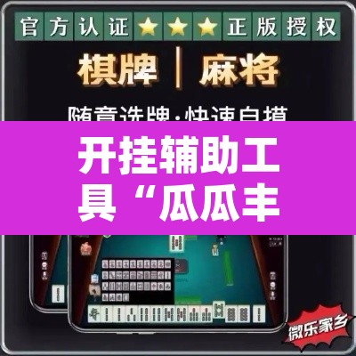 开挂辅助工具“瓜瓜丰城棋牌开挂器”开挂辅助脚本+详细开挂安装教程