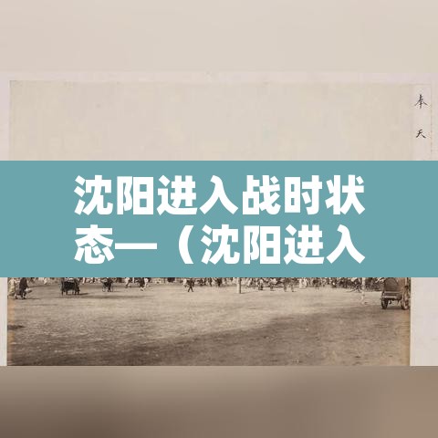 沈阳进入战时状态—（沈阳进入战时状态什么意思）