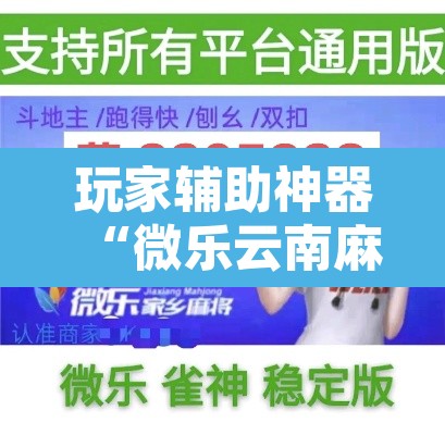 玩家辅助神器“微乐云南麻将可以开挂吗”附辅助神器开挂脚本详细步骤