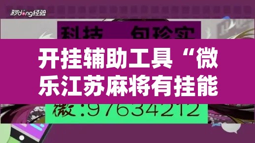 开挂辅助工具“微乐江苏麻将有挂能查出来吗”(透视)其实确实有挂