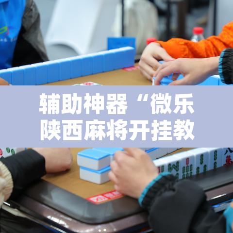 辅助神器“微乐陕西麻将开挂教程”开挂辅助脚本+详细开挂安装教程