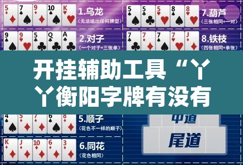 开挂辅助工具“丫丫衡阳字牌有没有挂”(透视)其实确实有挂