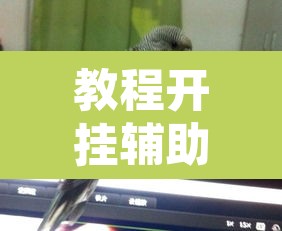 教程开挂辅助“新青鸟真的有挂吗	”其实确实有挂