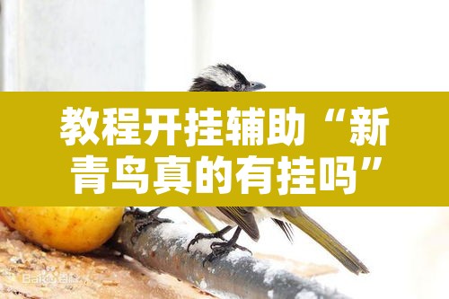 教程开挂辅助“新青鸟真的有挂吗”其实确实有挂