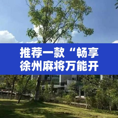 推荐一款“畅享徐州麻将万能开挂器”附辅助神器开挂脚本详细步骤