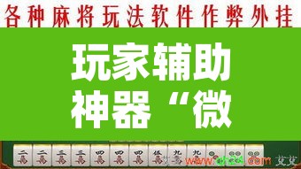 玩家辅助神器“微乐海南麻将开挂神器	”附辅助神器开挂脚本详细步骤