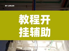 教程开挂辅助“杭州都莱大菠萝买了挂有用吗	”其实确实有挂