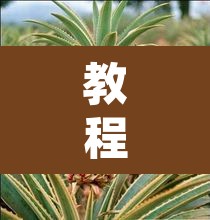 教程开挂辅助“杭州都莱大菠萝买了挂有用吗”其实确实有挂