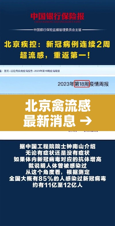 北京禽流感最新消息 → 北京禽流感最新消息今天 北京禽流感最新消息 → 北京禽流感最新消息今天