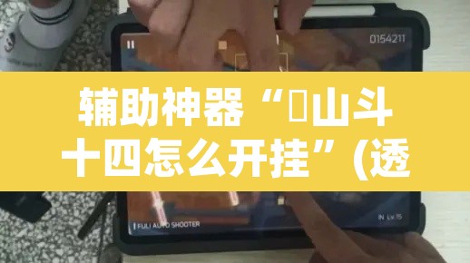 辅助神器“涼山斗十四怎么开挂”(透视)其实确实有挂