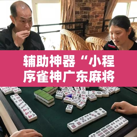 辅助神器“小程序雀神广东麻将挂	”开挂辅助脚本+详细开挂安装教程