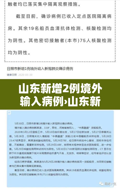 山东新增2例境外输入病例›山东新增境外确诊1例