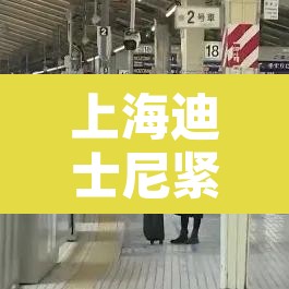 上海迪士尼紧急关闭—(上海迪士尼7月15日起再度关闭) 上海迪士尼紧急关闭—(上海迪士尼7月15日起再度关闭)