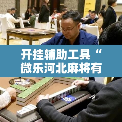 开挂辅助工具“微乐河北麻将有挂吗”其实确实有挂