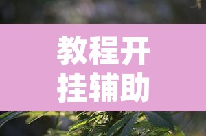 教程开挂辅助“友乐广西麻将究竟有挂吗”附辅助神器开挂脚本详细步骤