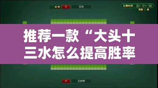 推荐一款“大头十三水怎么提高胜率	”(透视挂)辅助透视教程