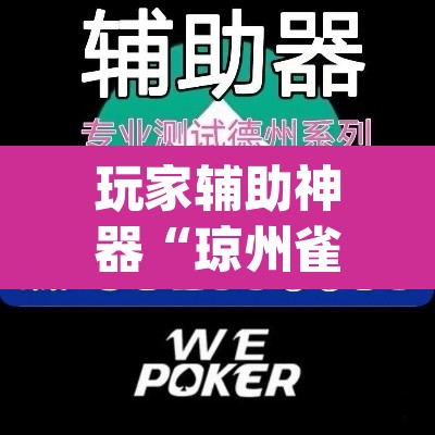 玩家辅助神器“琼州雀友有挂吗	”(透视挂)辅助透视教程