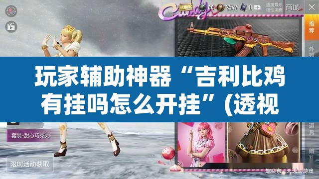 玩家辅助神器“吉利比鸡有挂吗怎么开挂”(透视)其实确实有挂
