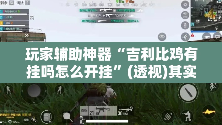 玩家辅助神器“吉利比鸡有挂吗怎么开挂	”(透视)其实确实有挂